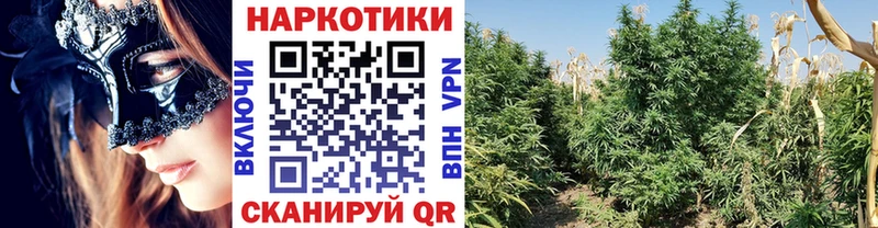 Купить ГАШИШ  АМФЕТАМИН  Alpha PVP  Конопля  Меф  КОКАИН  Злынка