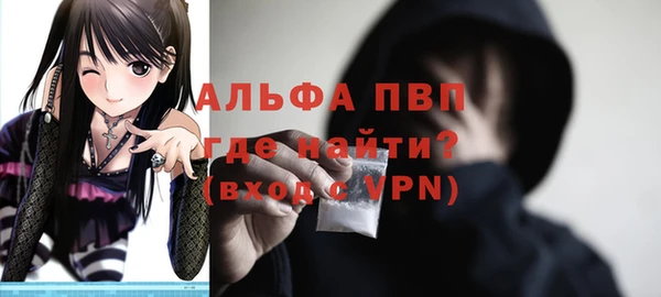 ПСИЛОЦИБИНОВЫЕ ГРИБЫ Каменногорск