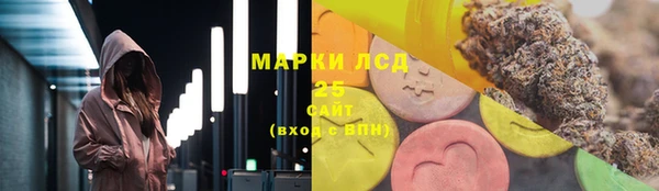 спайс Каменка
