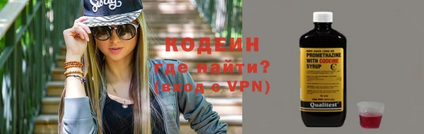 спайс Каменка