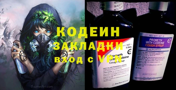 спайс Каменка