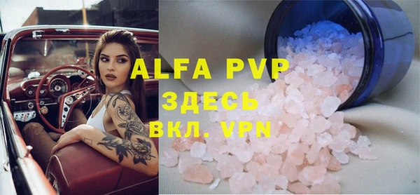 ПСИЛОЦИБИНОВЫЕ ГРИБЫ Каменногорск