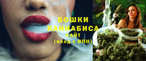 спайс Каменка