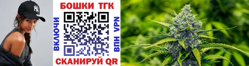 Канабис SATIVA & INDICA  Купить закладки  Злынка 